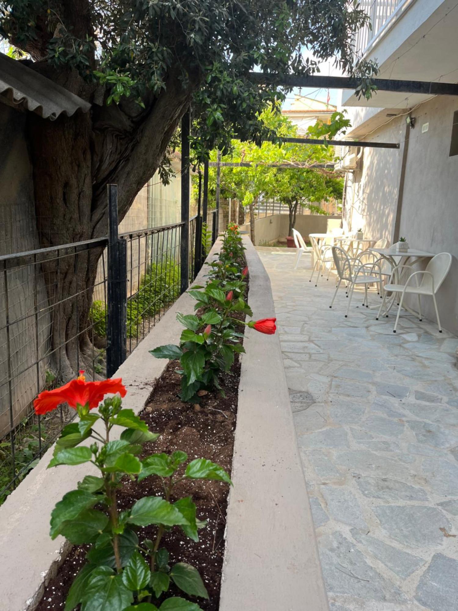 Grecian Sea Hotel Limenaria  Bagian luar foto